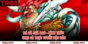 Đá Gà Cựa Dao - Hình Thức Chọi Gà Trực Tuyến Độc Đáo